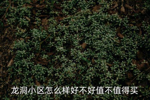 龍洞小區怎么樣好不好值不值得買