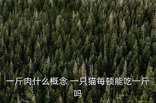 一斤肉什么概念 一只貓每頓能吃一斤嗎