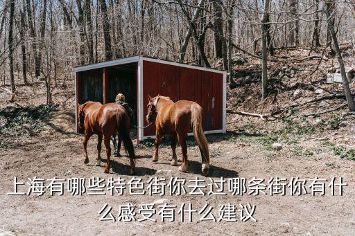 上海有哪些特色街你去過(guò)哪條街你有什么感受有什么建議