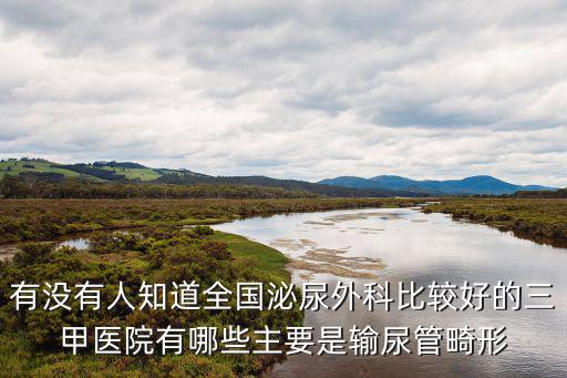 有沒有人知道全國泌尿外科比較好的三甲醫(yī)院有哪些主要是輸尿管畸形