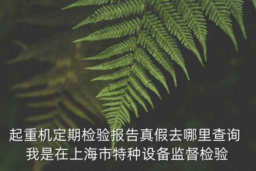 上海市路燈管理中心官網，上海市電力設施維護舉報電話