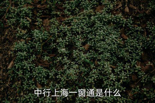 中行上海一窗通是什么