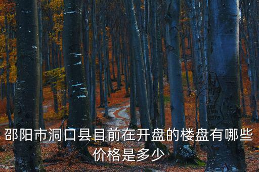 邵陽市洞口縣目前在開盤的樓盤有哪些價格是多少