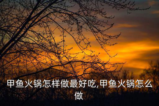 甲魚(yú)火鍋怎樣做最好吃,甲魚(yú)火鍋怎么做