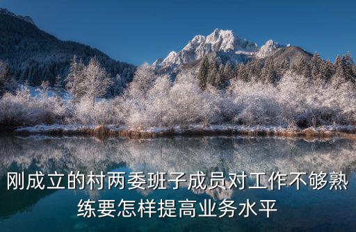 剛成立的村兩委班子成員對工作不夠熟練要怎樣提高業務水平