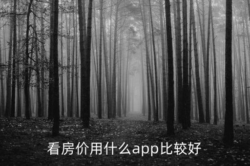 看房價用什么app比較好