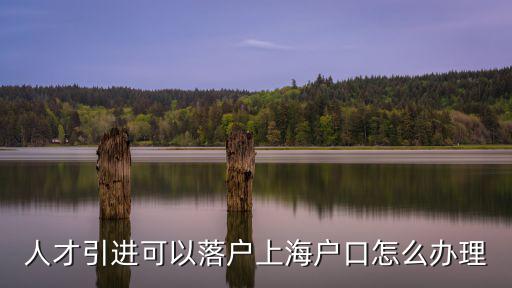 人才引進落戶流程，人才引進可以落戶上海戶口怎么辦理
