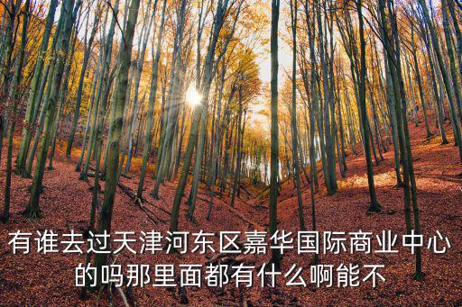 有誰去過天津河?xùn)|區(qū)嘉華國際商業(yè)中心的嗎那里面都有什么啊能不