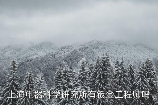 上海電器科學研究所有鈑金工程師嗎