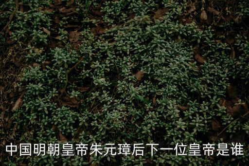 明朝第二個皇帝,明朝皇帝朱允為什么做兩次皇帝