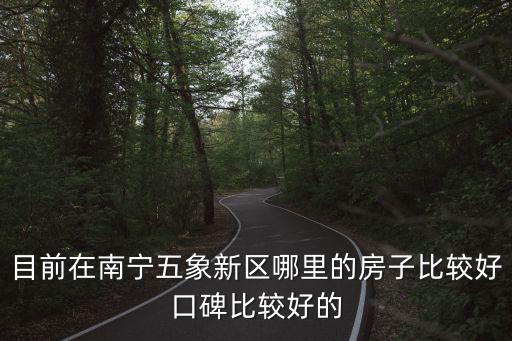 目前在南寧五象新區哪里的房子比較好口碑比較好的