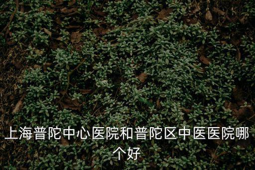 上海市普陀區中心醫院三甲，上海市普陀中心醫院是哪家最好
