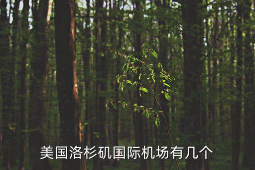 美國洛杉磯國際機場有幾個