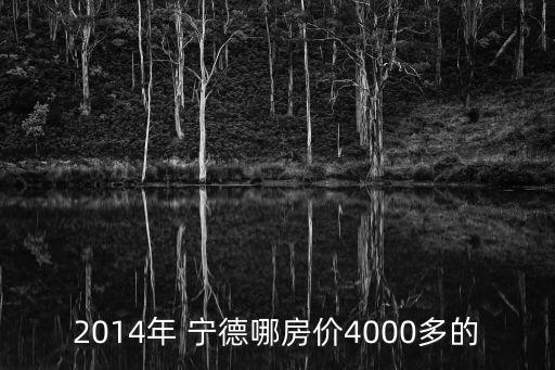 2014年 寧德哪房?jī)r(jià)4000多的