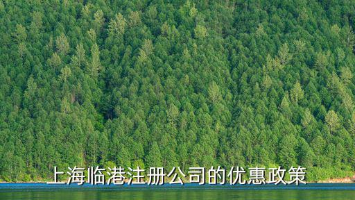 上海臨港注冊公司的優惠政策