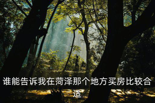 菏澤房價哪個地段最高，誰能告訴我在菏澤那個地方買房比較合適