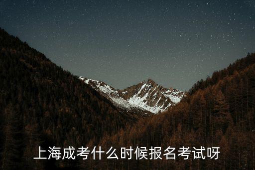 上海成考什么時候報名考試呀