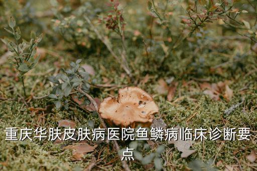 重慶華膚皮膚病醫院魚鱗病臨床診斷要點