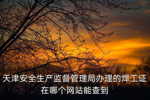 天津安全生產(chǎn)監(jiān)督管理局辦理的焊工證在哪個網(wǎng)站能查到