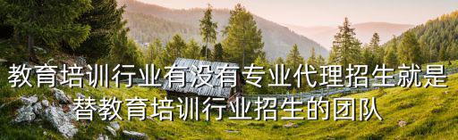 教育培訓行業有沒有專業代理招生就是替教育培訓行業招生的團隊