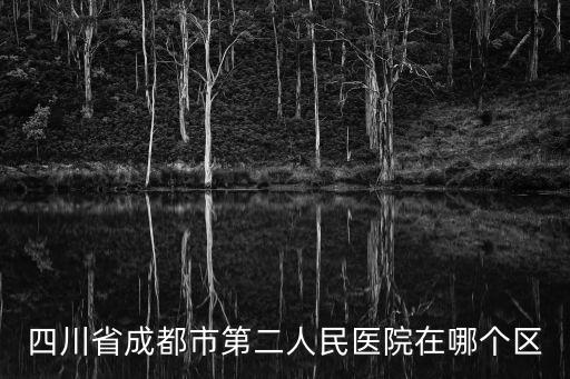 四川省成都市第二人民醫院在哪個區