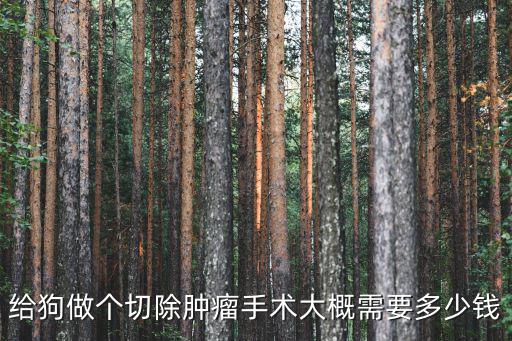 給狗做個(gè)切除腫瘤手術(shù)大概需要多少錢