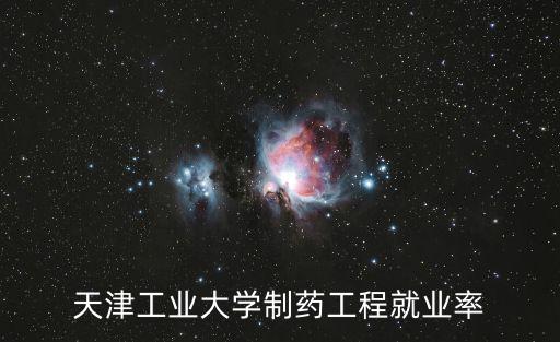 天津工業(yè)大學制藥工程就業(yè)率