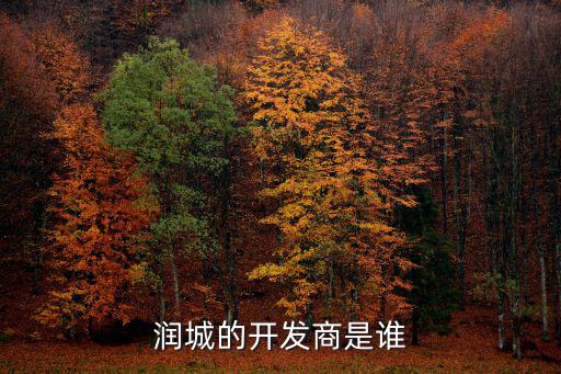 潤城的開發商是誰