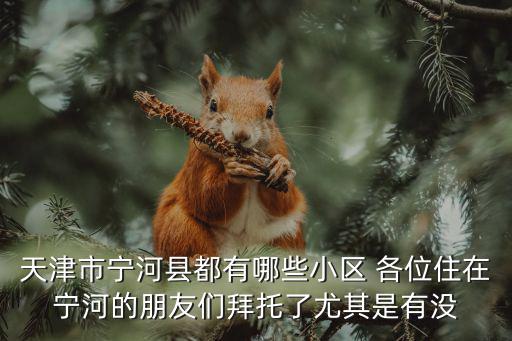 天津市寧河縣都有哪些小區 各位住在寧河的朋友們拜托了尤其是有沒