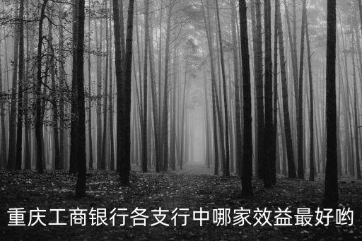 重慶工商銀行各支行中哪家效益最好喲