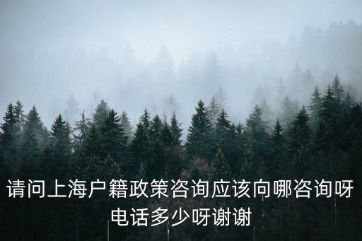 請問上海戶籍政策咨詢應該向哪咨詢呀電話多少呀謝謝