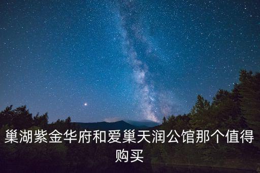 巢湖紫金華府和愛巢天潤公館那個值得購買
