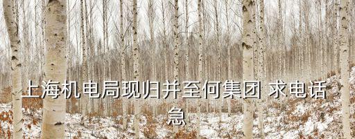 上海機電局現歸并至何集團 求電話 急
