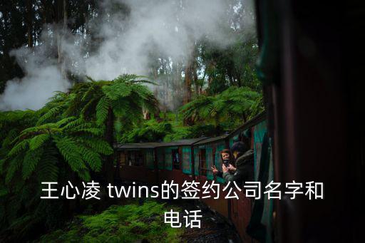 王心凌 twins的簽約公司名字和電話