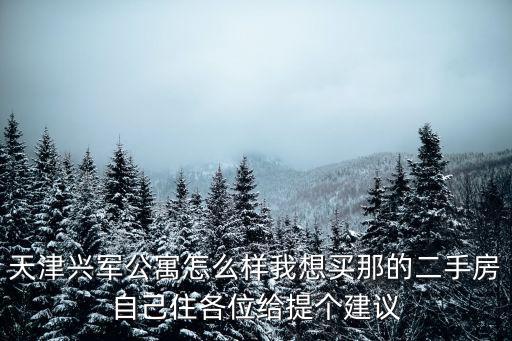 天津興軍公寓怎么樣我想買那的二手房自己住各位給提個建議