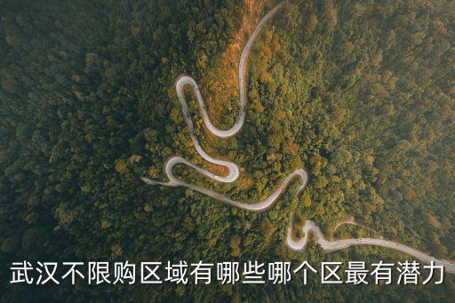 武漢不限購區域有哪些哪個區最有潛力