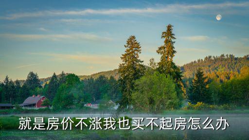 就是房價不漲我也買不起房怎么辦