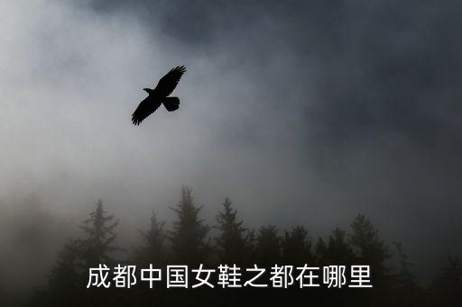 成都中國女鞋之都在哪里