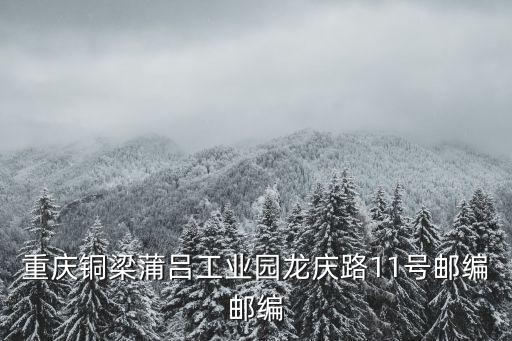 重慶銅梁蒲呂工業(yè)園龍慶路11號郵編郵編