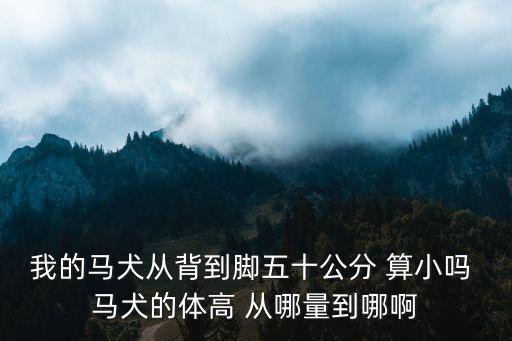 馬犬的體長是多少，我的馬犬從背到腳五十公分 算小嗎 馬犬的體高 從哪量到哪啊