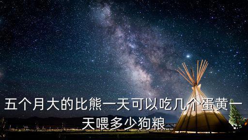 五個月大的比熊一天可以吃幾個蛋黃一天喂多少狗糧