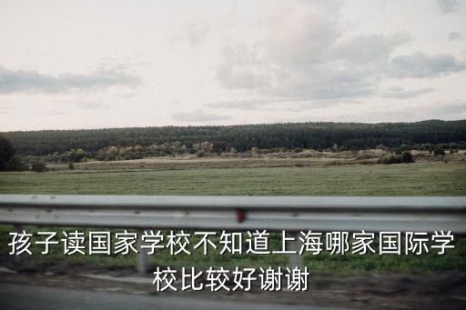 孩子讀國家學(xué)校不知道上海哪家國際學(xué)校比較好謝謝