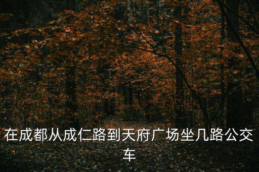 在成都從成仁路到天府廣場(chǎng)坐幾路公交車(chē)