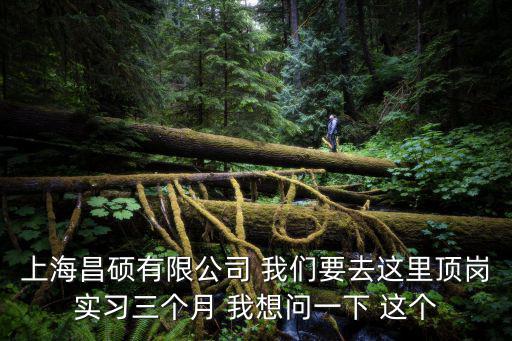 上海昌碩有限公司 我們要去這里頂崗實習三個月 我想問一下 這個