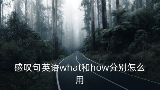 感嘆句的用法,英語感嘆句what和how的用法