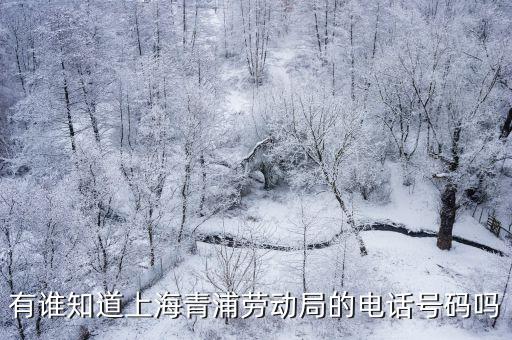有誰知道上海青浦勞動局的電話號碼嗎