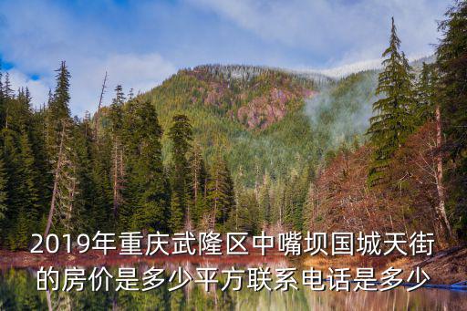 2019年重慶武隆區中嘴壩國城天街的房價是多少平方聯系電話是多少