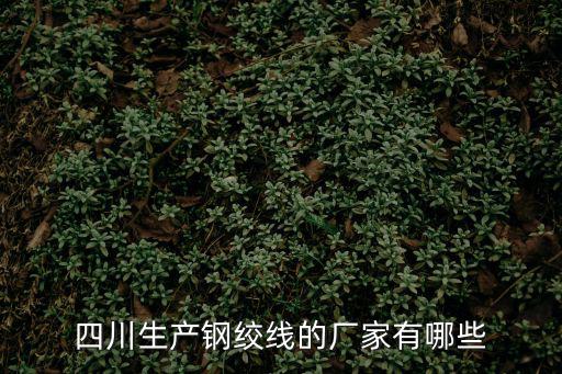 四川生產鋼絞線的廠家有哪些