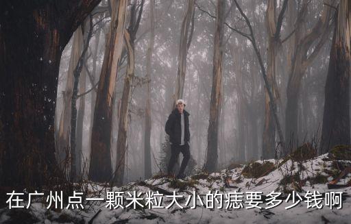 在廣州點一顆米粒大小的痣要多少錢啊