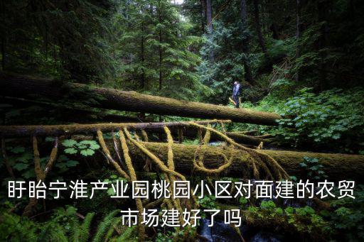 盱眙寧淮產業園桃園小區對面建的農貿市場建好了嗎